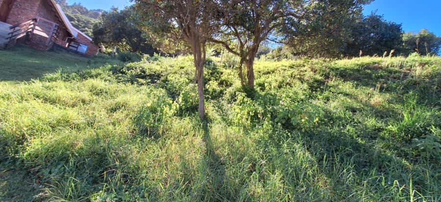 0 Bedroom Property for Sale in Glentana Western Cape